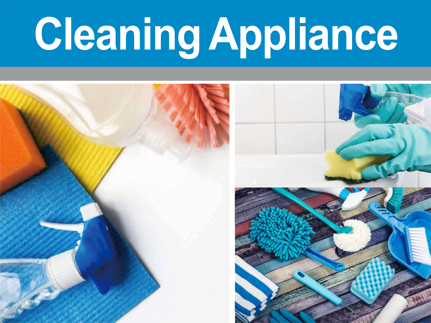 Cleaning Appliance